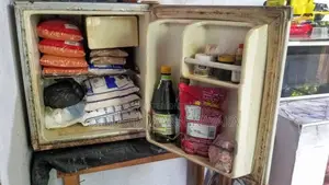 Wansa Mini Fridge