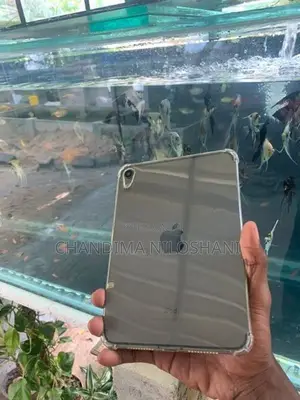 ipad mini 6 64 GB