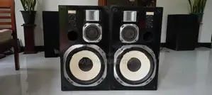victer Zero 50 fine 12 inch spikers
