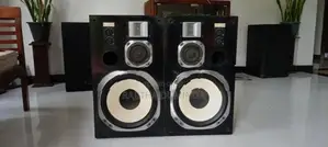 victer Zero 50 fine 12 inch spikers