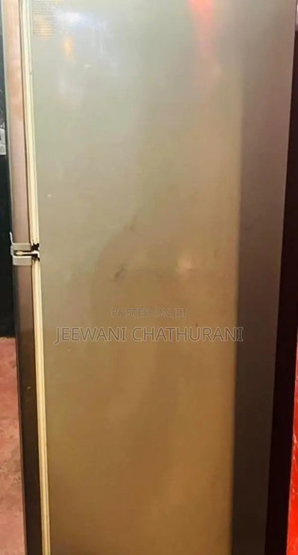 Singer Double Door Refrigerator