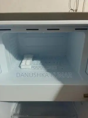 Singer Fridge