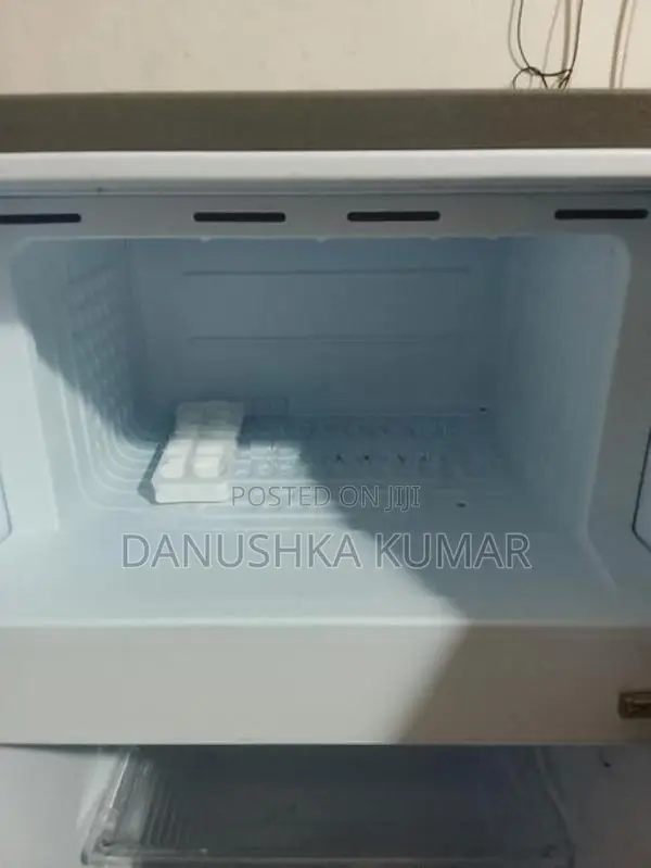 Singer Fridge