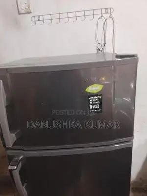 Singer Fridge