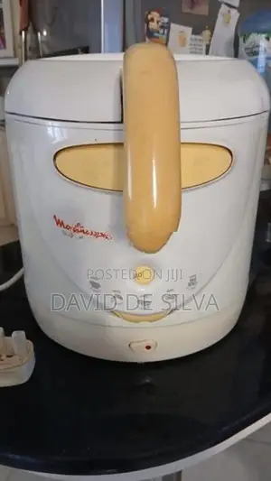 Deep Fat Fryer