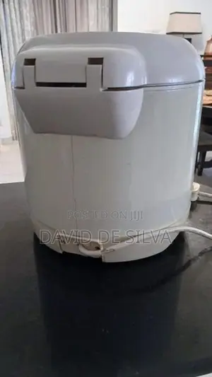 Deep Fat Fryer