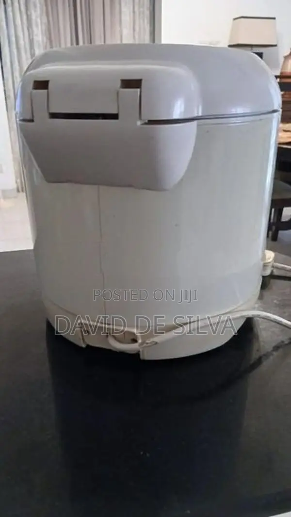 Deep Fat Fryer