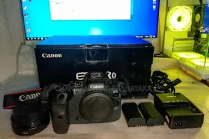 Canon R6 Mirrorless Camera