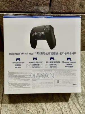 PS5 DualSense Wireless Controller
