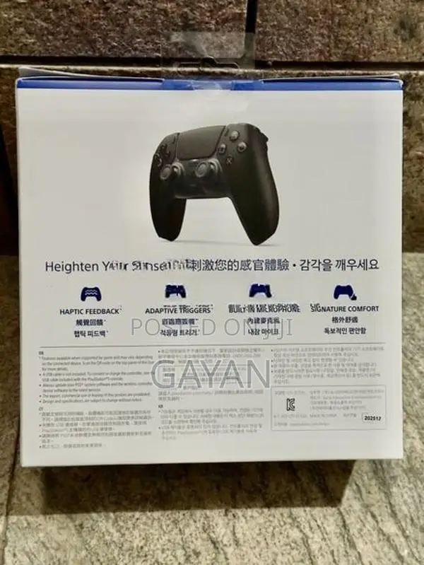 PS5 DualSense Wireless Controller