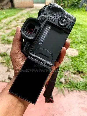 Canon R6 Mirrorless Camera