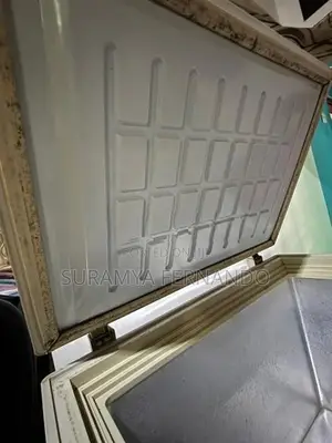 Chest Freezer