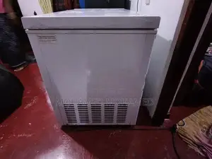 Chest Freezer 320 L