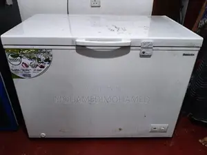 Chest Freezer 320 L
