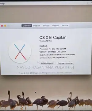 Apple MacBook 12-inch - 8GB / 256GB SSD