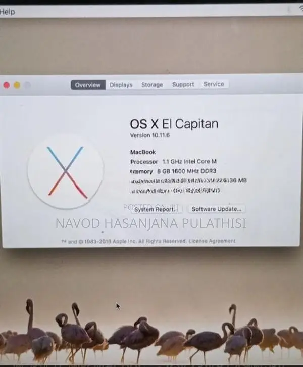 Apple MacBook 12-inch - 8GB / 256GB SSD