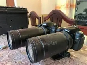 canon/ Nikon 200-400 DSLR lens