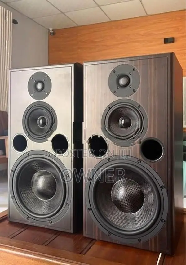 Odesan 10 inch Speake
