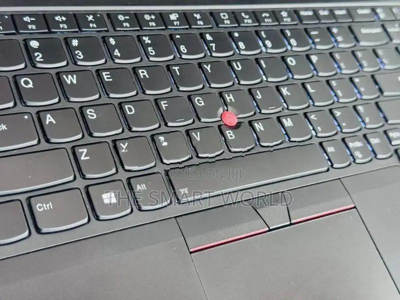 Lenovo ThinkPad Core i5 10th Gen 16GB RAM 256GB NVMe Professional Lapt