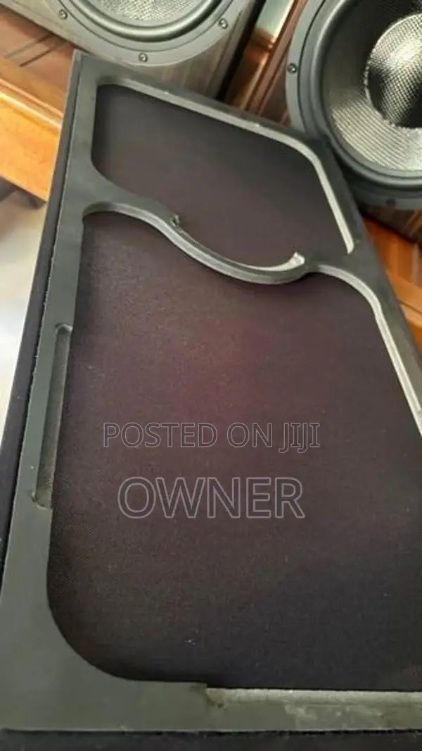 Odesan 10 inch Speake