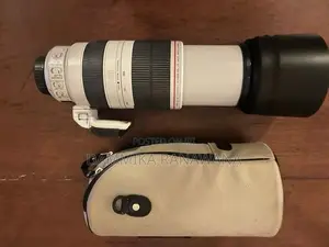Canon EF 100–400mm f/4.5–5.6L IS II USM Lens