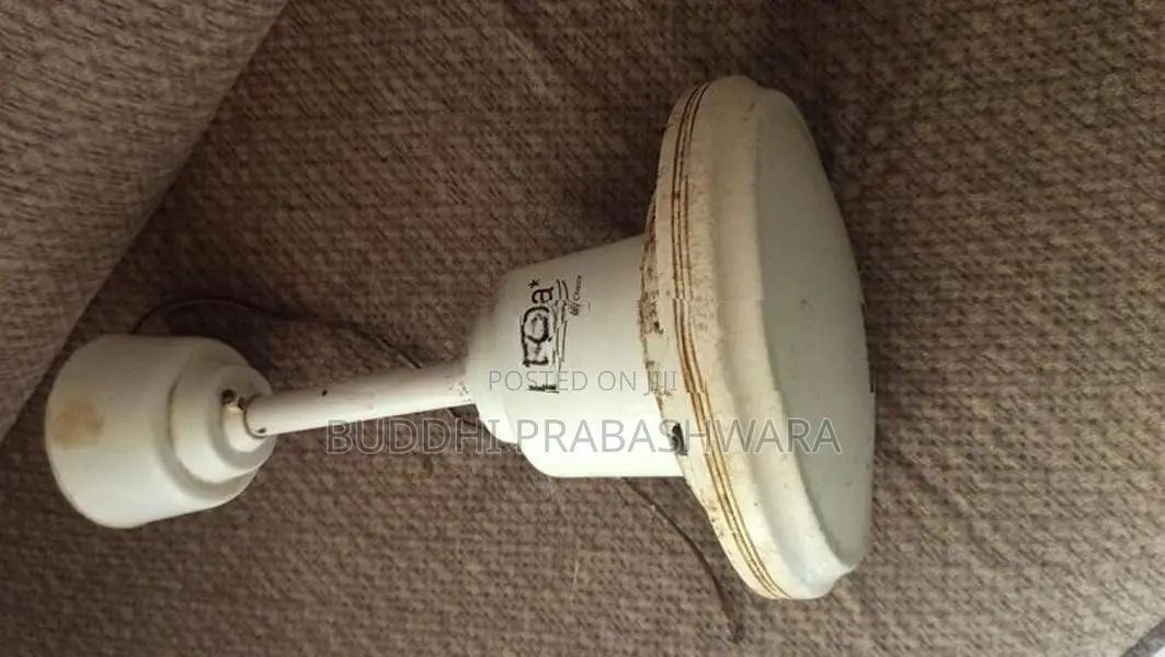 linda pearl white ceiling fan