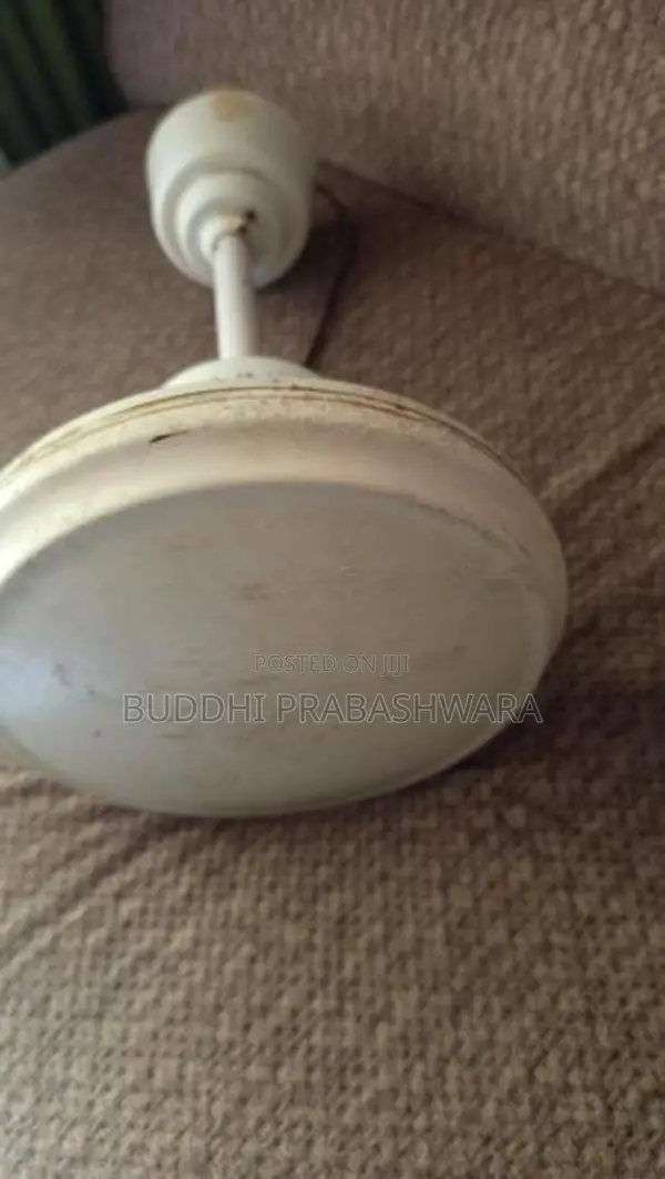 linda pearl white ceiling fan
