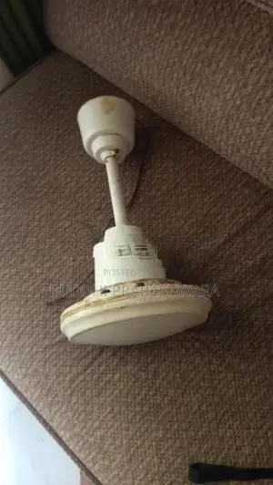 linda pearl white ceiling fan