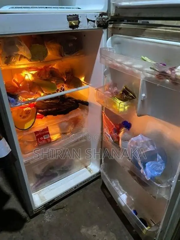 Lg Refrigerator