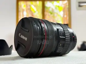 Canon EF 24-105mm f4 L USM Lens