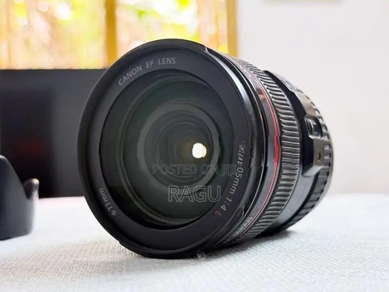 Canon EF 24-105mm f4 L USM Lens