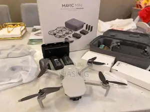 Mavic Mini Flymore Combo