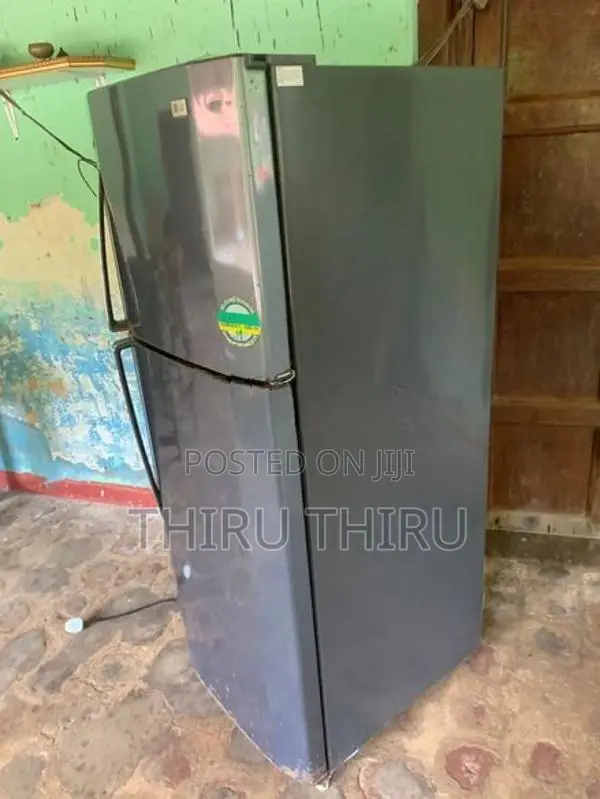 LG Double Door Refrigerator 250L
