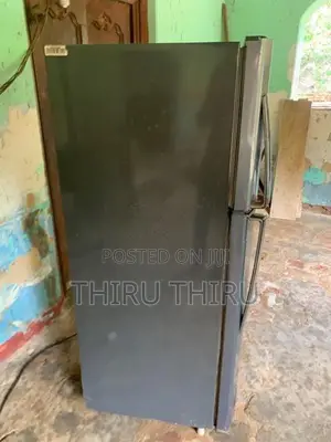 LG Double Door Refrigerator 250L