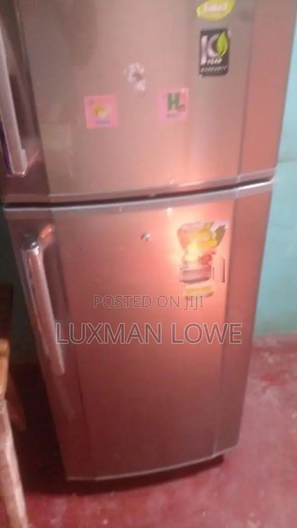 Singer Fridge