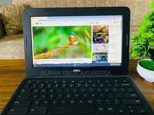 Dell Chromebook 2GB 32GB