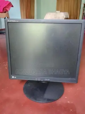 17" LG Monitor