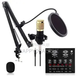 V8 Sound Card With Bm800 Mic