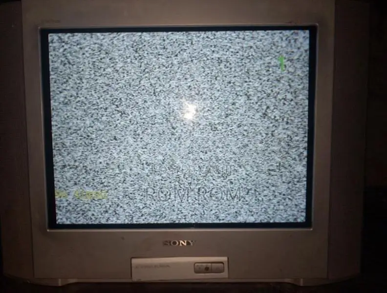 21" Sony TV