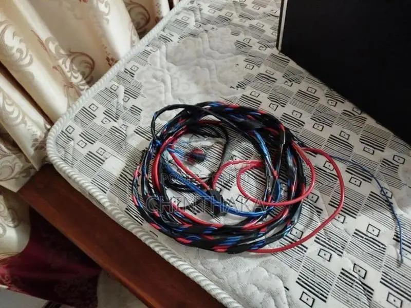 Gelong Subwoofer