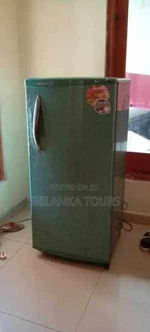 Fridge