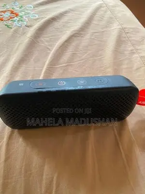 Antsig Speaker