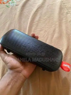 Antsig Speaker