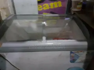 Singer Freezer