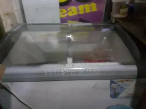 Singer Freezer