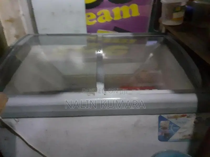 Singer Freezer