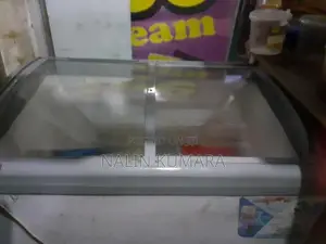 Singer Freezer