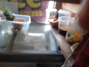 Singer Freezer