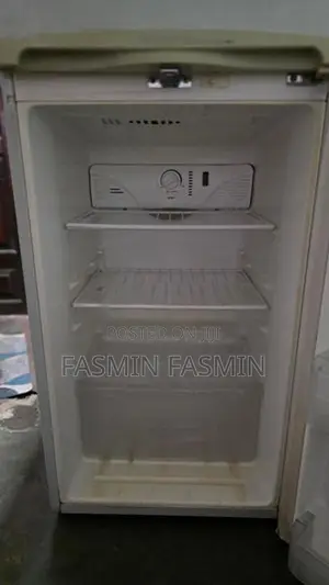 5 Feet LG Korean Refrigerator