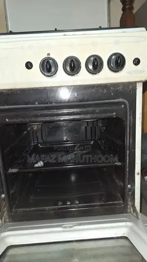 Electric Oven with Gas Cooker